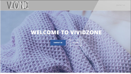 Разработка лендинга для компании Vividzone